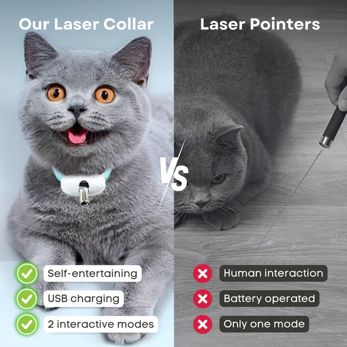 LaserPaw™ Adjustable USB Cat Laser Collar – Rechargeable Interactive Toy