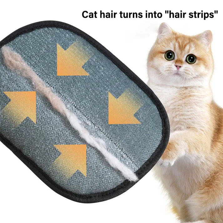 Purr & Paw™ Gloves