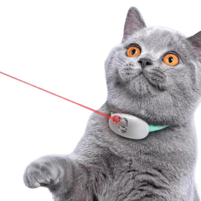 LaserPaw™ Adjustable USB Cat Laser Collar – Rechargeable Interactive Toy