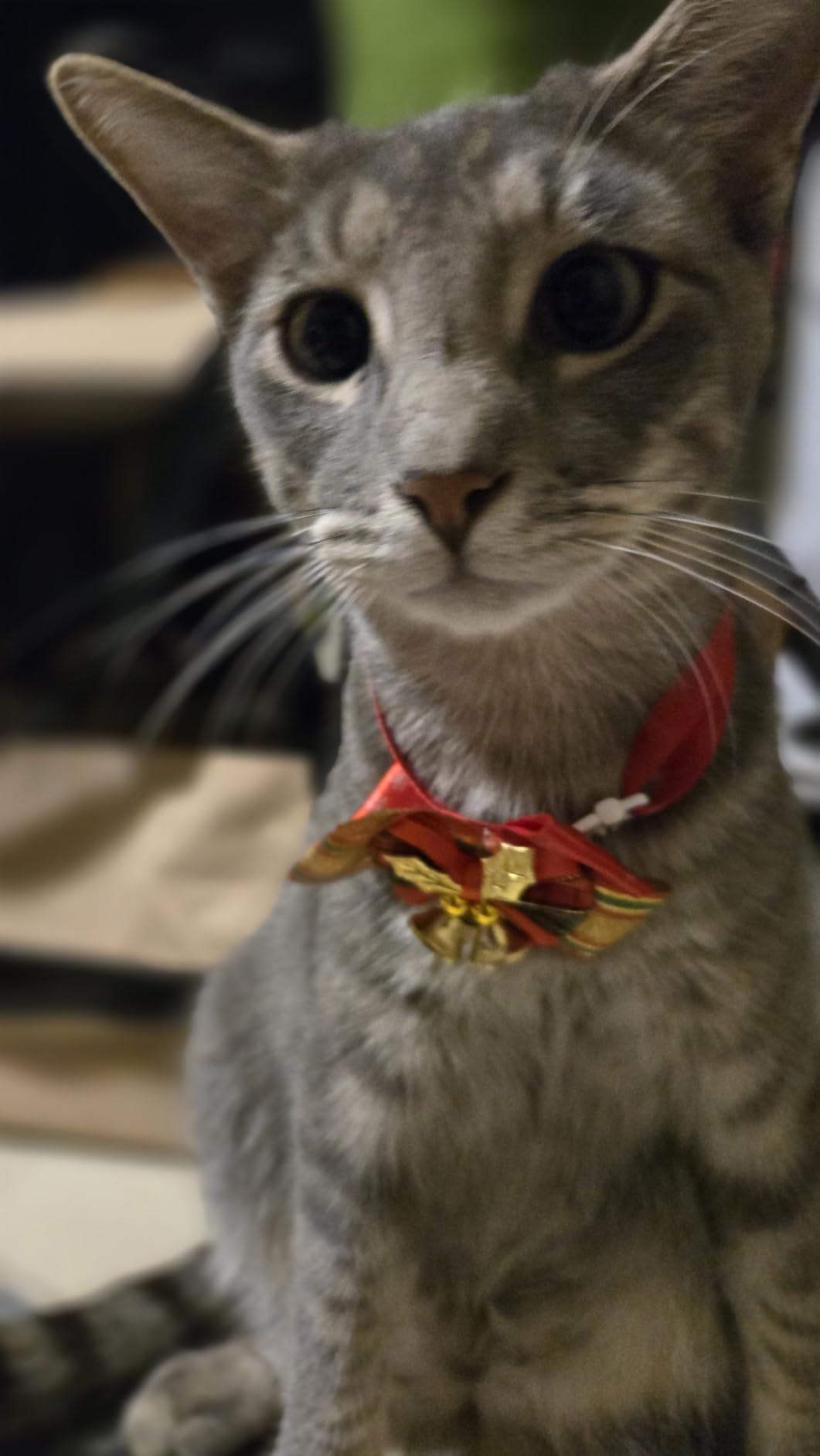 Sophie, 🇬🇧 London