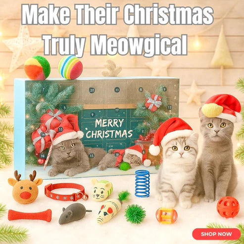 Cat Advent Calendar 2025 – Christmas Toy Box