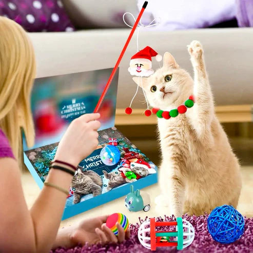 Cat Advent Calendar 2025 – Christmas Toy Box