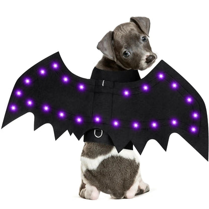 Glowing Bat Wings Dog Costume with LED Lights
