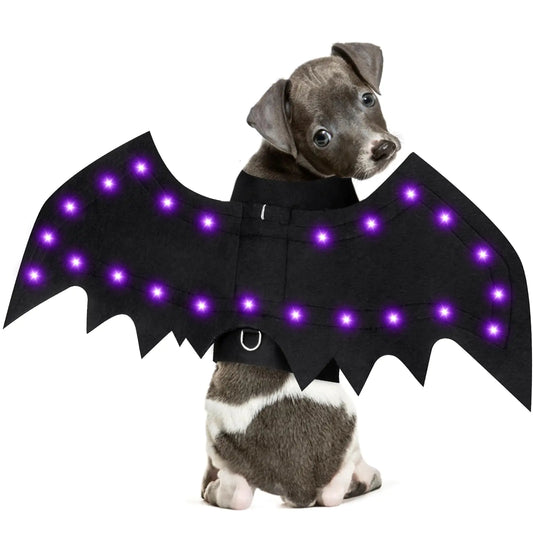 Glowing Bat Wings Dog Costume with LED Lights