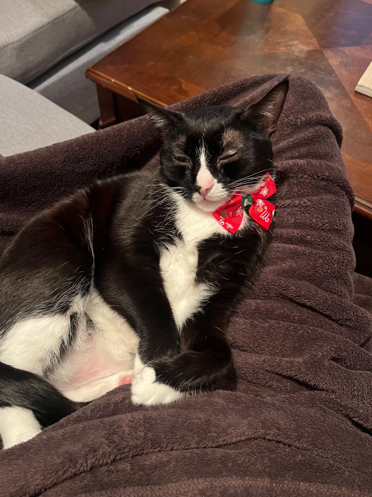 Ben, 🇨🇦 Vancouver