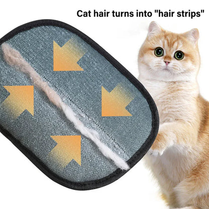 Purr & Paw™ Gloves