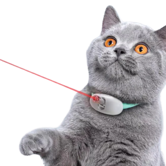 LaserPaw™ Adjustable USB Cat Laser Collar – Rechargeable Interactive Toy